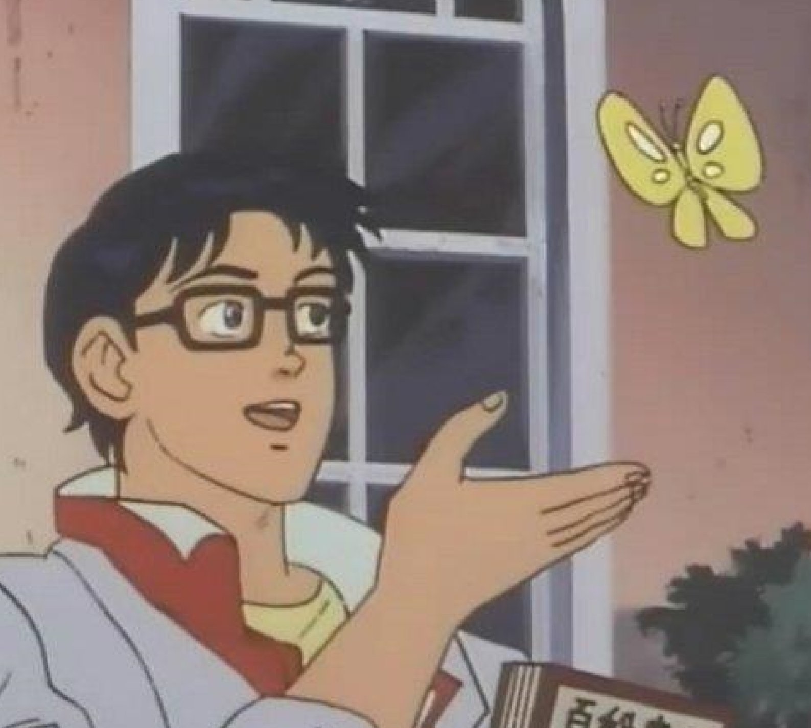 Is This a Pigeon